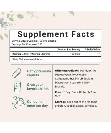 Micro Ingredients Moringa Oleifera 1000mg 240 Caplets - Whole Leaf Extract Green Superfood Supplement | Non-GMO, Gluten-Free | 240 Count Pack - Buy Online on GoSupps.com