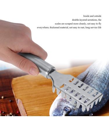 Fish Scaler Brush - Stainless Steel Handle Fish Scale Remover & Cleaning Tool | Perfect for Easy Fish Cleaning - Buy Online on GoSupps.com