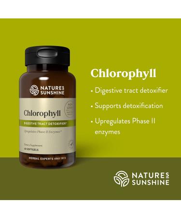 Nature's Sunshine Chlorophyll Softgel Capsules - 60 Count | Pure & Natural Supplement - Buy Online on GoSupps.com