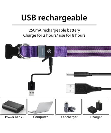 Buy Masbrill LED Dog Collar - Waterproof Luminous Safety Collar with 3 Flashing Lights for Small to Large Dogs (Purple 48-60cm) | International Shipping Available - Buy Online on GoSupps.com