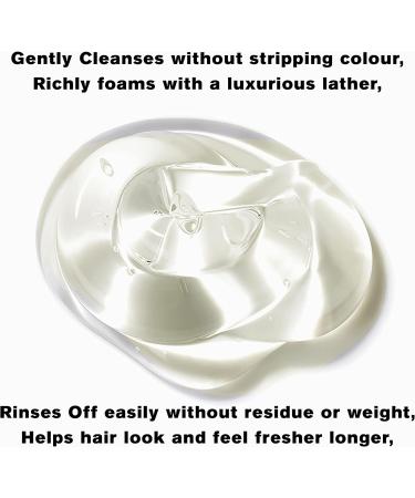 NORMADENSE 1 Vegan Biotin Shampoo. Strengthening Shampoo with Argan Oil and Biotin - Buy Online on GoSupps.com