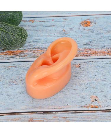 Silicone Imitation Real Human Ear Display Model - Sculpture Supplies - Buy Online on GoSupps.com