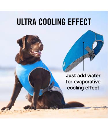 Canada Pooch Dog Cooling Vest - Breathable Mesh, Reflective Lining, Adjustable - Aqua, 18 (17-19) - Evaporative Cooling for Dogs - Buy Online on GoSupps.com