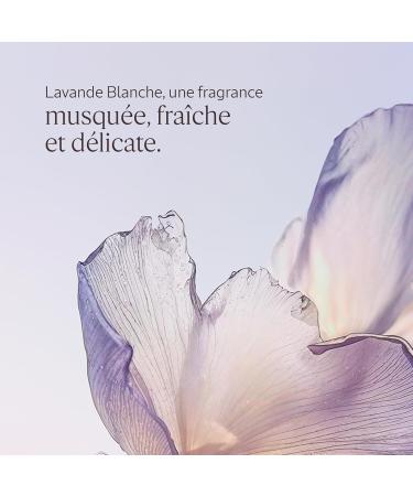 L'OCCITANE - Cr me Mains - Fabriqu en France Lavande Blanche 30 ml - Buy Online on GoSupps.com