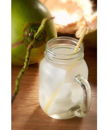 Wilderness Poets Instant Coconut Water Powder 4 oz - Freeze Dried Hydration - Buy Online on GoSupps.com