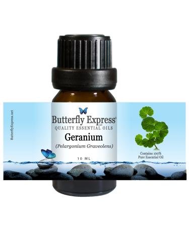 Geranium Essential Oil 10ml - 100% Pure - by Butterfly Express