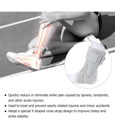 ANGGREK Ankle Brace & Sleeve - Foot Stabilizer Support for Ankle Pain Relief | Drop Foot Orthosis - Buy Online on GoSupps.com