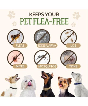 Flea and Tick Treatment for Dogs | All-Natural Formula | Easy Spot-On Application - Buy Online on GoSupps.com