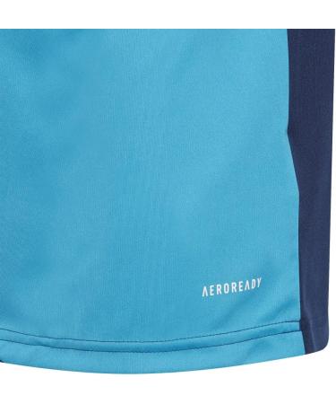 Adidas Boys Squad GK21 Sweatshirt - 1 Pack 164 Navblu/Boaqua | International Shipping Available - Buy Online on GoSupps.com