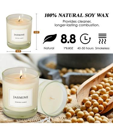 Jasmine Scented Soy Wax Jar Candle - 8.8oz Long Lasting Aromatherapy for Home | Relaxing Candle for Men and Women | 45H Burn Time - Buy Online on GoSupps.com