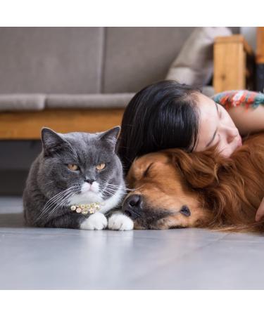 URROMA Pink Pet Pearl Collar - Adjustable Crystal Dog & Cat Necklace with Rhinestone Bling - Buy Online on GoSupps.com