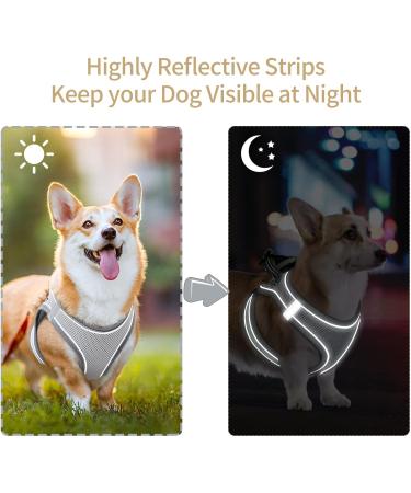 Buy Heele Adjustable No-Pull Dog Harness - Breathable Reflective Soft Design for Small Dogs | Gray | Safe & Comfortable Walking & Training - Buy Online on GoSupps.com
