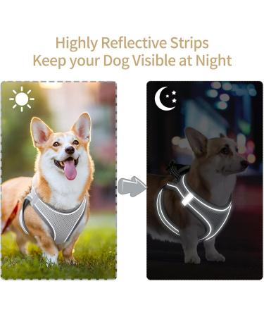 Buy Heele Adjustable Dog Harness for Small & Medium Dogs - Soft Mesh Reflective Breathable - Perfect for Comfortable Walks - 1 Pack (Gray) - Buy Online on GoSupps.com