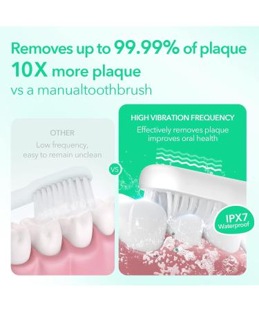 Sejoy Rechargeable Electric Toothbrush with 4 Brush Heads, 3 Modes & Smart Timer - Green (One-key) - Buy Online on GoSupps.com
