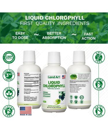 Liquid Chlorophyll Apple Flavored Cold Extracted from Wild Non-GMO Alfalfa - Alkaline - Natural Body Deodorant Antioxidant - 16 fl oz - Buy Online on GoSupps.com
