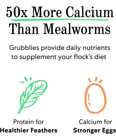Grubblies - Nutritious Chicken Treats & Feed Supplement with 50x Calcium - Black Soldier Fly Larvae & Natural Grubs for Hens, Birds, & Ducks - 1 LB - Buy Online on GoSupps.com