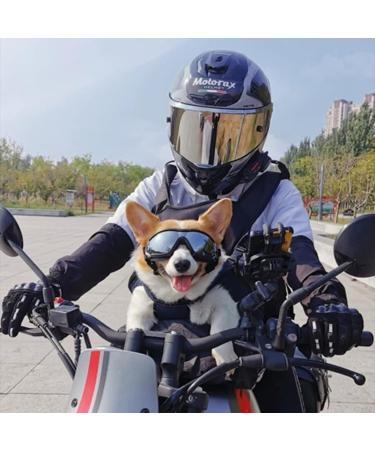 1 Small Pet Sunglasses Dog Overhead Goggles Pet Sunglasses Uv Protection Adjustable Elastic Headband (small Size) - Buy Online on GoSupps.com