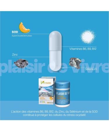 Vita PLAISIR DE VIVRE SOD de melon Compl ment alimentaire pour le bien- tre de l esprit et du corps fatigue moral Vitamine B6 B9 B12 Zinc Levure de S l nium 60 G lules - Buy Online on GoSupps.com