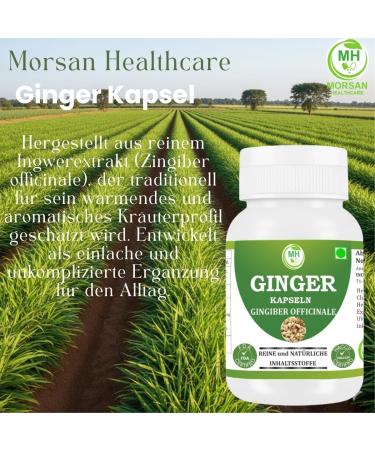  Morsan Healthcare Ginger (Zingiber officinale) Capsules | Pack of 60 x 500 mg Vegetarian Capsules | Natural Food Supplement | GMP Certified | Gluten-Free (120) - Buy Online on GoSupps.com