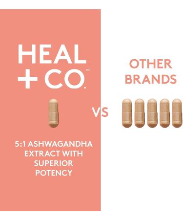 HEAL + CO. Ashwagandha Supplement | High Potency 5:1 extract 5000mg per serving | Stress + Energy Support | 120 x 500 mg Capsules - Buy Online on GoSupps.com