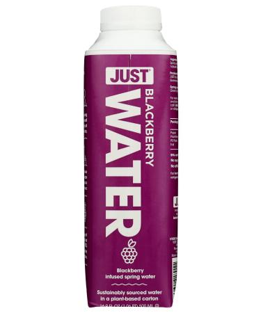 JUST WATER Blackberry Water, 16.9 FZ
