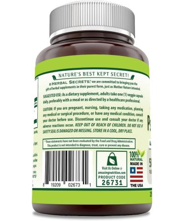 Herbal Secrets Psyllium Husk Supplement | 500 Mg | 250 Veggie Capsules | Non-GMO | Gluten Free | Made in USA 250 Count - Buy Online on GoSupps.com