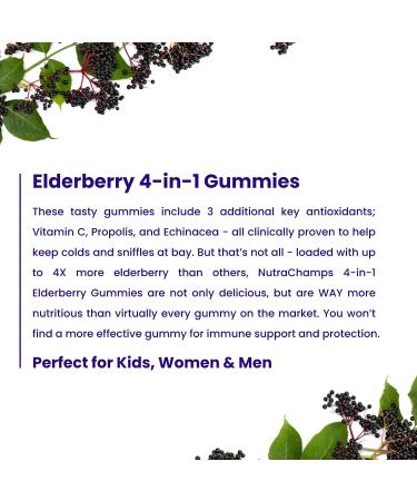NutraChamps Vitamin B12 Gummies and Elderberry Gummies Bundle - Buy Online on GoSupps.com