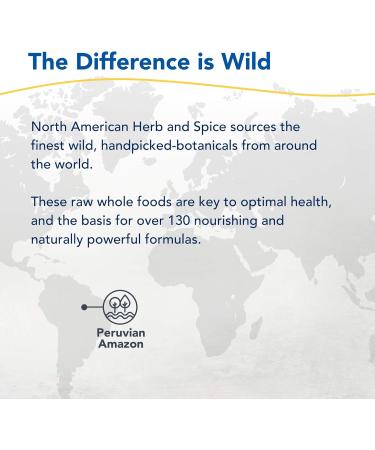NORTH AMERICAN HERB & SPICE Inflam-eeZ - 90 Capsules - Supports Healthy Immune & Inflammatory Response - Ginger Root Camu Camu Berries Bromelain & Papain Plus - Non-GMO - 45 Total Servings - Buy Online on GoSupps.com