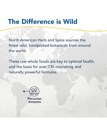 NORTH AMERICAN HERB & SPICE AshwaMilk - 3.5 oz. - Ashwagandha Root Extract Yacon Powder - Supports Energy Stamina Healthy Adrenal & Thyroid Function - Non-GMO - 36 Servings - Buy Online on GoSupps.com
