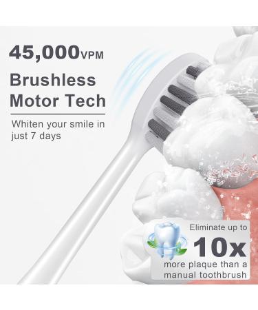 Sonic Electric Toothbrush for Adults - 8 Brush Heads 4 Modes Smart Timer IPX8 Fast Charge - Perfect Christmas Gift (White - Buy Online on GoSupps.com