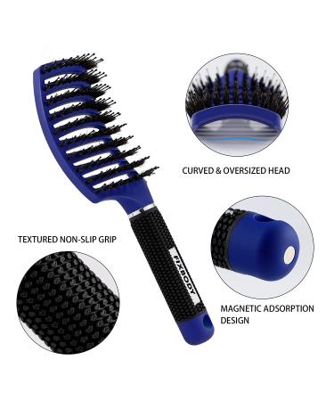 FIXBODY Boar Bristle Hair Brush - Curved Vented Design for Long Thick Curly Hair - Detangling & Blow Drying Brush (Blue) - Buy Online on GoSupps.com