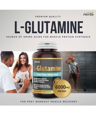 Herba L-Glutamine Capsules 750mg 180 Vegetable Capsules | 3 000mg Per Serving | Free Form L Glutamine Supplement | NPN from Health Canada | Made & 3rd Party Tested in Canada - Buy Online on GoSupps.com