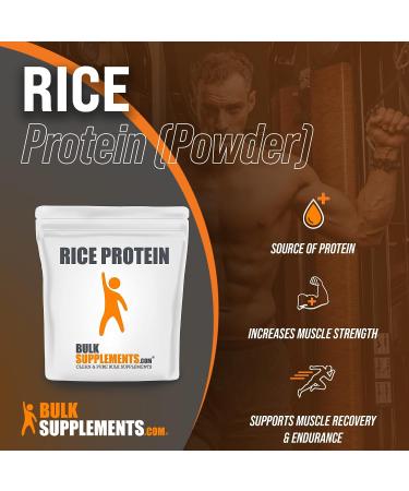 Organic Rice Protein Concentrate Powder - Vegan Plant Protein (1kg) | BulkSupplements.com - Buy Online on GoSupps.com