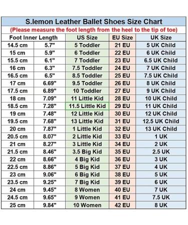 Buy S.Lemon Pink Leather Ballet Shoes for Girls & Women - Shared Sole Microfiber Dance Shoes (EU 28) | International Shipping Available - Buy Online on GoSupps.com
