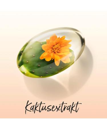 Pantene Pro-V Miracles Damage Defense Nursing 160ml - Biotin Cactus & Argan Oil for Dry Damaged Hair Care - Buy Online on GoSupps.com