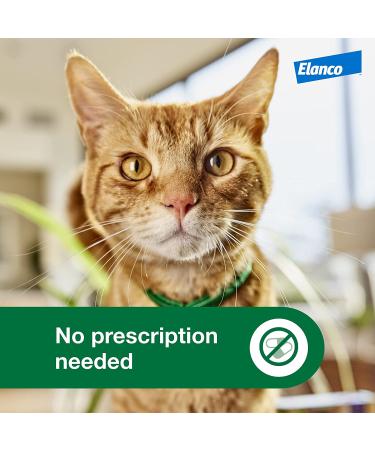 Advantage XD Flea Prevention for Small Cats (1.8-9 lbs) - Long-Lasting Treatment - 2 Pack - Buy Online on GoSupps.com