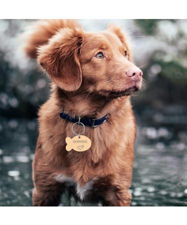 Personalized Camal Dog Tags - Engraved Stainless Steel Pet Badges for Dogs & Cats | Custom Shapes: Bones Hearts Fish & More - Buy Online on GoSupps.com