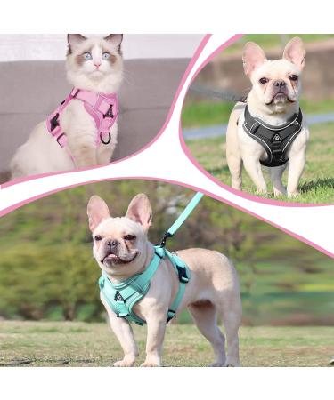 Adjustable Cat Dishes | Cat Bowls with Line Set for Kittens & Puppies - Light Pink (L) | Shop Now - Buy Online on GoSupps.com