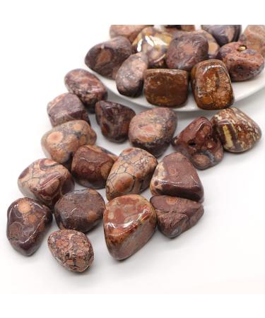 Crystal Hole Natural Leopard Jasper Quartz Crystals and Stones Tumbled Bulk Specime Stones Home Aquarium Decoration Crystal Hole - Buy Online on GoSupps.com