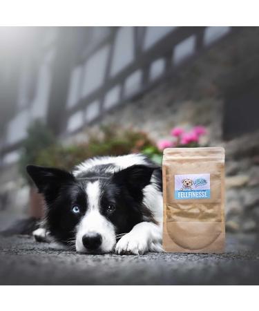 Sollis Fellfinesse - Change of Fur Support for Dogs | Against Itching Dermatitis & Hair Loss | 100g Skin & Fur Care - Buy Online on GoSupps.com