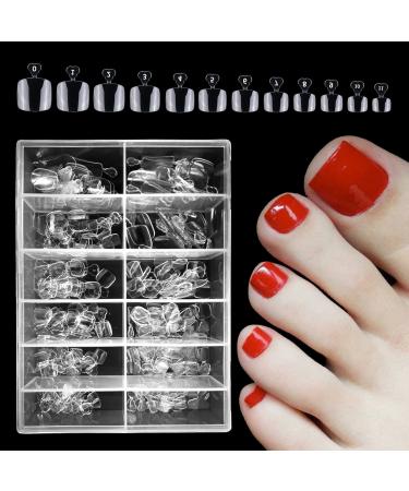 LoveOurHOme 240pc Gel X Toenail Tips Clear Full Cover Short Square Fake Toe Nails Artificial False Toe Pedicure Design Decor for Gel x/Acrylic Toe Nails Extension Toenails