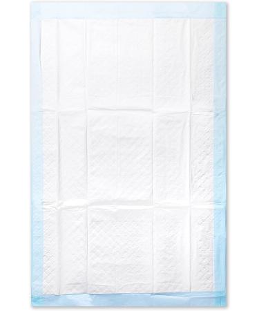 Medi-Inn Disposable Medical Pads | 60x90 cm 6-Ply - Pack of 10 - International Shipping Available - Buy Online on GoSupps.com