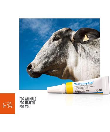 Zoetis Terramycin Antibiotic Ophthalmic Ointment 1/8 oz - Animal Health Solution - Buy Online on GoSupps.com
