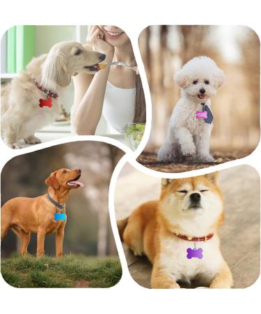 Buy Durable Aluminum Dog Tags & Trailers - 30 Pet ID Tags + 10 Chains for Dogs & Cats - Waterproof & DIY Friendly - Buy Online on GoSupps.com