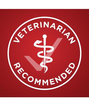 Purina ONE Dry Dog Food Lamb & Rice - 3.63 kg Bag 3.63 kg (Pack of 1) Dry Dog Food - Buy Online on GoSupps.com