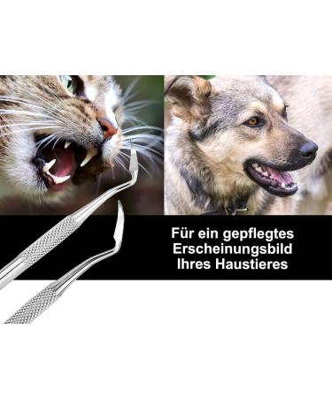 Stainless Steel Dogs Sichel Scaler Tartar Remover - Pet Tooth Cleaning Alternative Type 17 - Buy Online on GoSupps.com