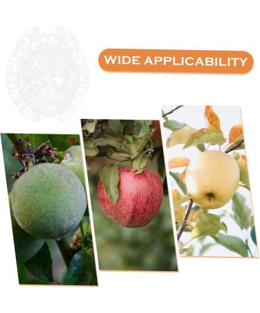 VINTORKY Shaped Growth Fruit for Shaping Reusable Forming Shaper Melon Ginseng Watermelon - Buy Online on GoSupps.com