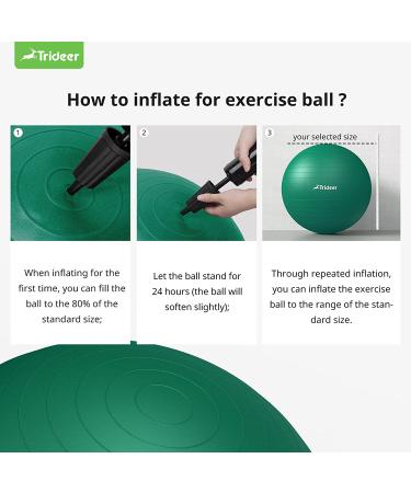 Trideer Exercise Ball for Physical Therapy and Fitness - Green, L (23-26 inches) - Swiss Ball for Rehab, Core Strength, Yoga, Balance, and Flexibility - Buy Online on GoSupps.com
