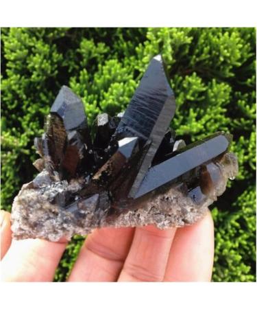 200-300g Rare Natural Beautiful Black Quartz Crystal Cluster Tibetan Specimen Decoration Gift ERTEYIN - Buy Online on GoSupps.com