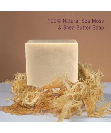 DorNee Sea Moss Facial Bar for Sensitive Skin | Natural Wildcrafted Sea Moss & Collagen | Essential Oil Blend - 5.5 oz - Buy Online on GoSupps.com
